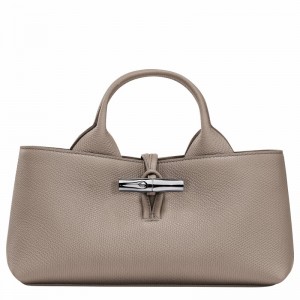 Sac a Main Longchamp Le Roseau S Femme Grise Soldes | 10280HFP266