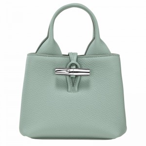 Sac a Main Longchamp Le Roseau XS Femme Céladon Soldes | 10278HFP282