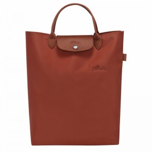 Sacs Fourre Tout Longchamp Le Pliage Green M Femme Marron Soldes | 10168919404