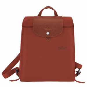 Sacs à Dos Longchamp Le Pliage Green M Femme Marron Soldes | L1699919404