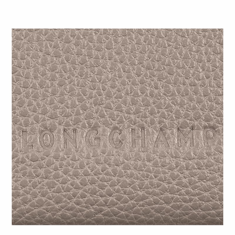 Porte-Carte Longchamp Le FOULONNÉ Femme Grise Soldes | L3218021P55