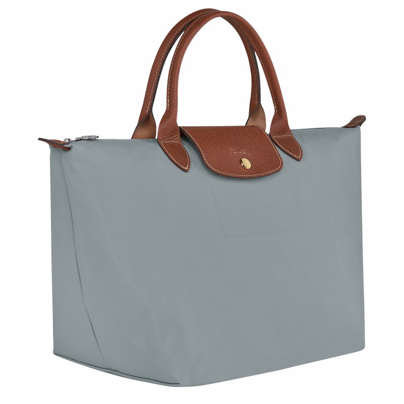 Sac a Main Longchamp Le Pliage Original M Femme Grise Soldes | L1623089P80