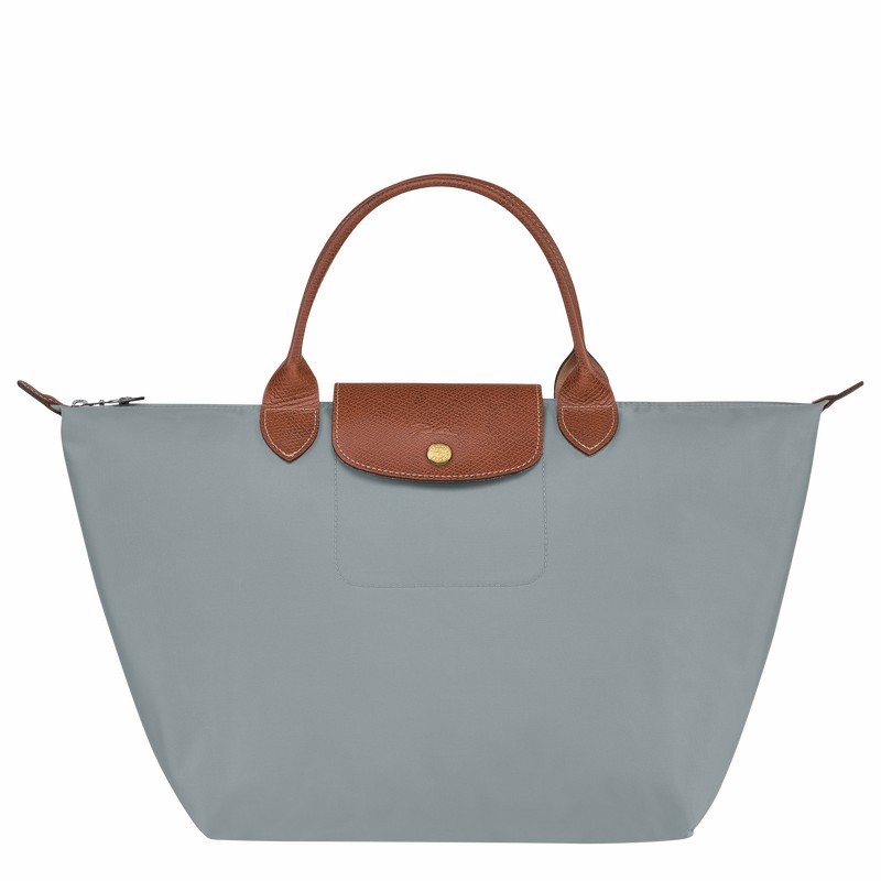 Sac a Main Longchamp Le Pliage Original M Femme Grise Soldes | L1623089P80