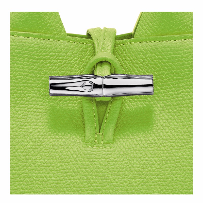 Sac a Main Longchamp Le Roseau XS Femme Vert Soldes | 10278HFP355