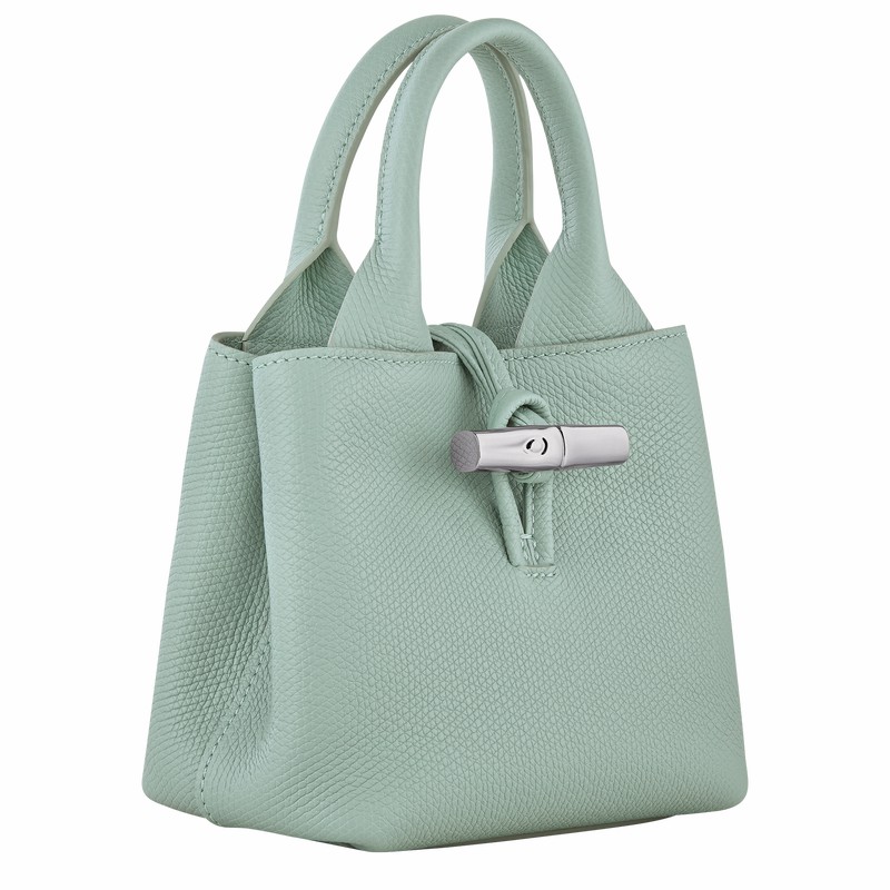 Sac a Main Longchamp Le Roseau XS Femme Céladon Soldes | 10278HFP282