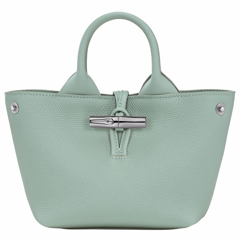 Sac a Main Longchamp Le Roseau XS Femme Céladon Soldes | 10278HFP282