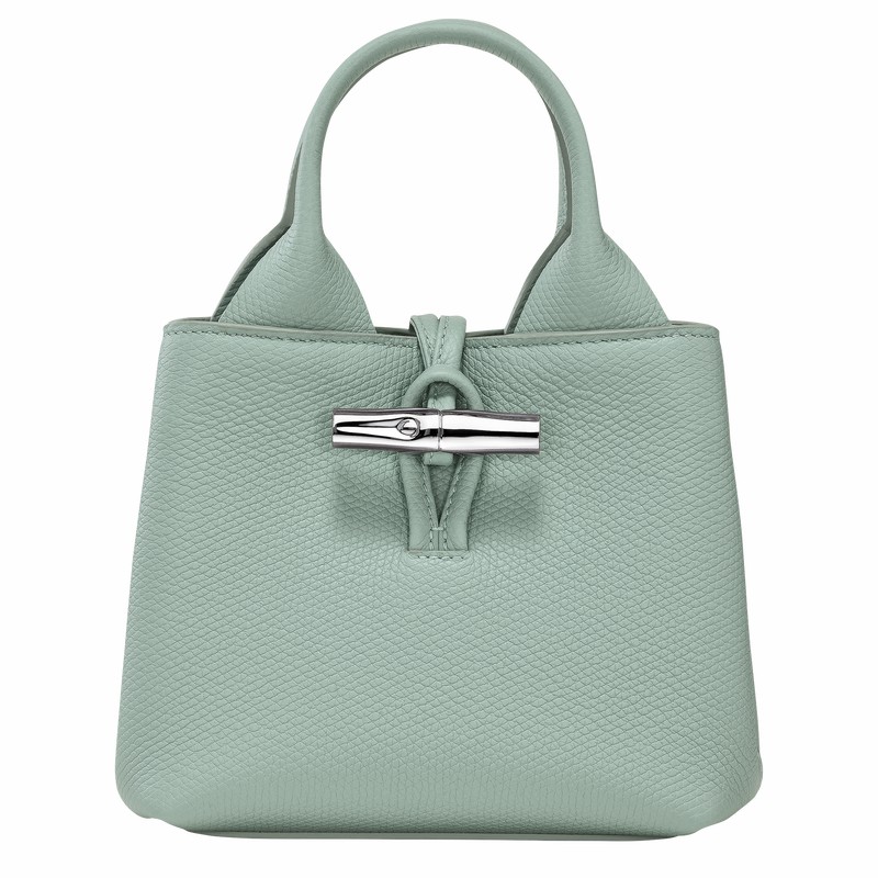 Sac a Main Longchamp Le Roseau XS Femme Céladon Soldes | 10278HFP282